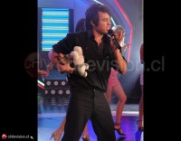 /album/hardcorito-en-yingo/a1264042589010-f-jpg/